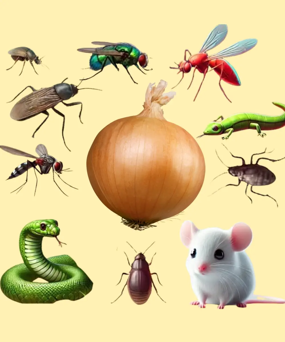 Onions: A Natural Way to Get Rid of Pests