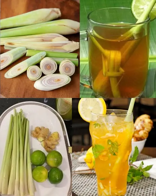 How to Make a Cup of Lemon, Lemongrass, Ginger, and Honey Drink to Detox Your Kidneys, Cleanse Your Liver, and Boost Immunity at Home