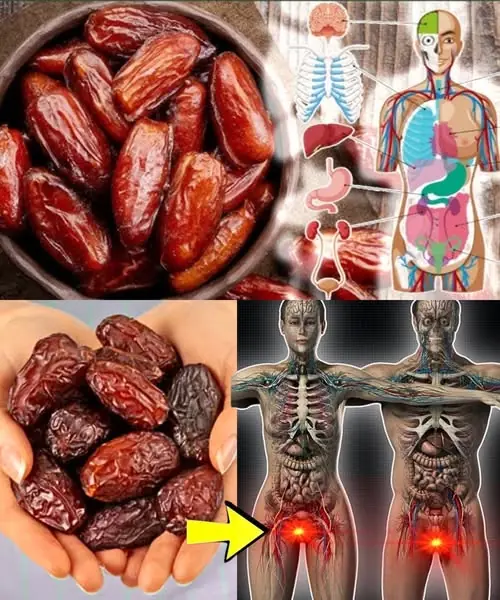 The Incredible Health Benefits of Dates: Nature’s Sweet Superfood