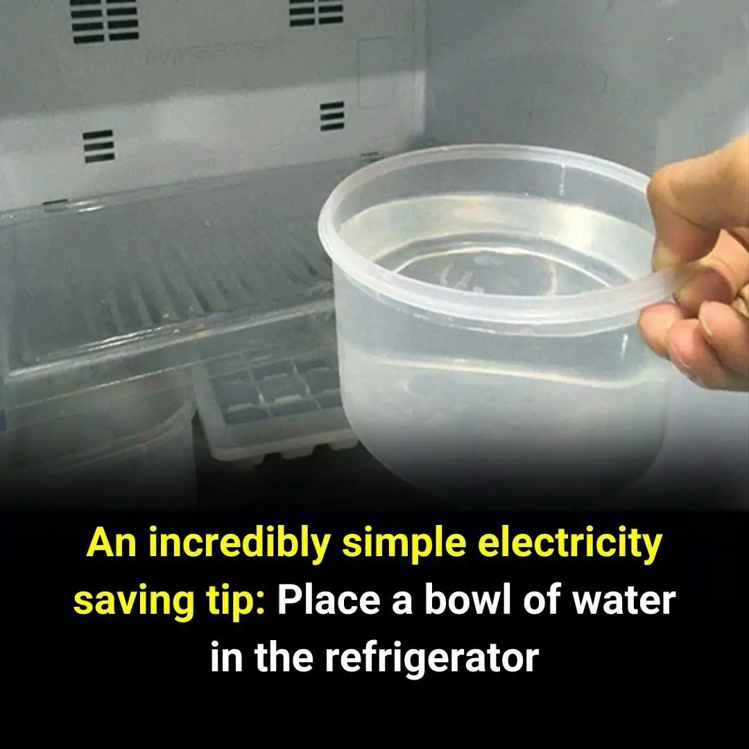 Tips to help you save a lot of electricity money every month