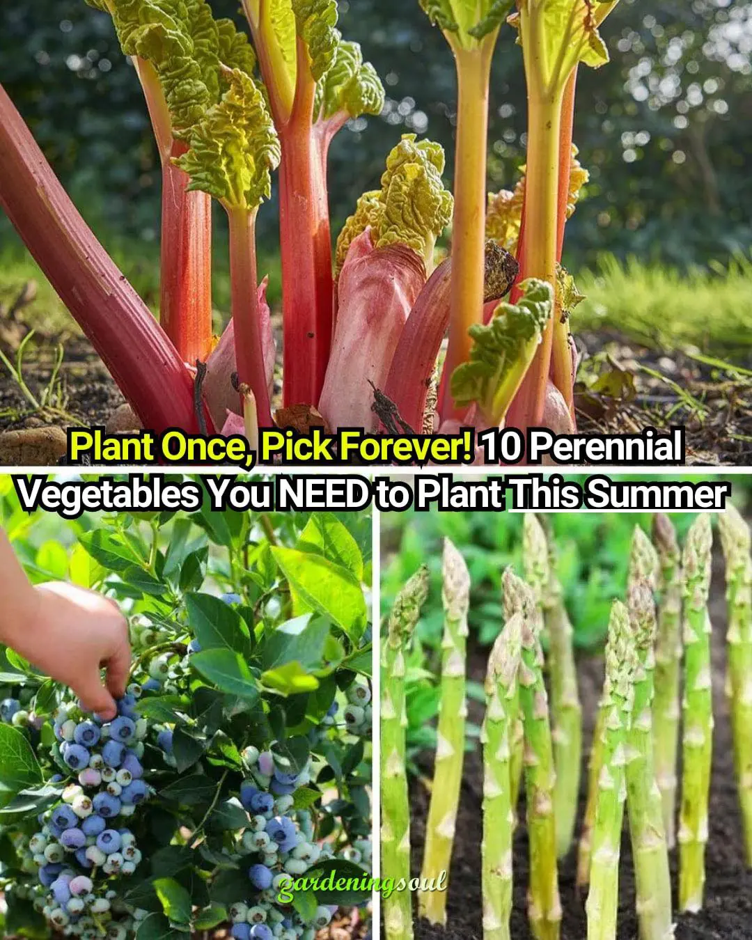Plant Once, Pick Forever! 10 Perennial Vegetables You NEED to Plant This Summer
